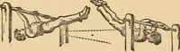 Picture 12 of 478 from The boy's own book of indoor games and recreations : a popular encyclopædia for boys (1890), leaf 28