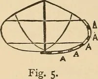 Picture 286 of 478 from The boy's own book of indoor games and recreations : a popular encyclopædia for boys (1890), leaf 285