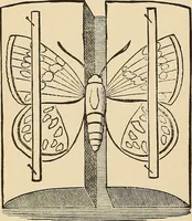 Picture 302 of 478 from The boy's own book of indoor games and recreations : a popular encyclopædia for boys (1890), leaf 305
