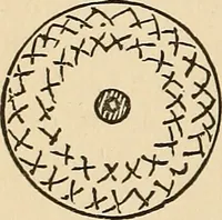 Picture 308 of 478 from The boy's own book of indoor games and recreations : a popular encyclopædia for boys (1890), leaf 329