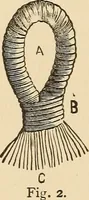 Picture 313 of 478 from The boy's own book of indoor games and recreations : a popular encyclopædia for boys (1890), leaf 343