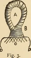 Picture 314 of 478 from The boy's own book of indoor games and recreations : a popular encyclopædia for boys (1890), leaf 343