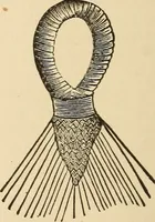 Picture 315 of 478 from The boy's own book of indoor games and recreations : a popular encyclopædia for boys (1890), leaf 343