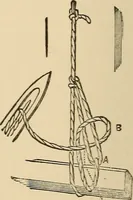 Picture 322 of 478 from The boy's own book of indoor games and recreations : a popular encyclopædia for boys (1890), leaf 345