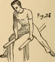 Picture 34 of 478 from The boy's own book of indoor games and recreations : a popular encyclopædia for boys (1890), leaf 37