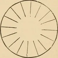 Picture 365 of 478 from The boy's own book of indoor games and recreations : a popular encyclopædia for boys (1890), leaf 382
