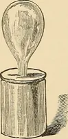 Picture 366 of 478 from The boy's own book of indoor games and recreations : a popular encyclopædia for boys (1890), leaf 383