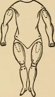 Picture 383 of 478 from The boy's own book of indoor games and recreations : a popular encyclopædia for boys (1890), leaf 394