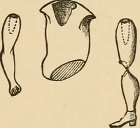 Picture 384 of 478 from The boy's own book of indoor games and recreations : a popular encyclopædia for boys (1890), leaf 394