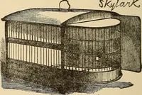 Picture 397 of 478 from The boy's own book of indoor games and recreations : a popular encyclopædia for boys (1890), leaf 411