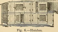 Picture 398 of 478 from The boy's own book of indoor games and recreations : a popular encyclopædia for boys (1890), leaf 415