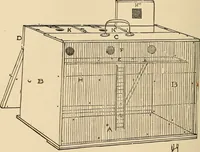 Picture 399 of 478 from The boy's own book of indoor games and recreations : a popular encyclopædia for boys (1890), leaf 417