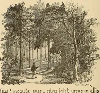 Picture 400 of 478 from The boy's own book of indoor games and recreations : a popular encyclopædia for boys (1890), leaf 419