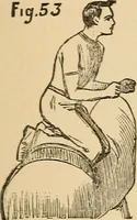 Picture 43 of 478 from The boy's own book of indoor games and recreations : a popular encyclopædia for boys (1890), leaf 42