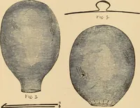 Picture 435 of 478 from The boy's own book of indoor games and recreations : a popular encyclopædia for boys (1890), leaf 489