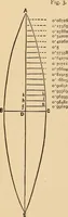 Picture 452 of 478 from The boy's own book of indoor games and recreations : a popular encyclopædia for boys (1890), leaf 509