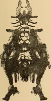 Picture 455 of 478 from The boy's own book of indoor games and recreations : a popular encyclopædia for boys (1890), leaf 514