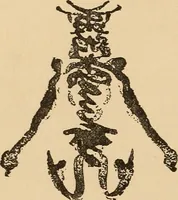 Picture 458 of 478 from The boy's own book of indoor games and recreations : a popular encyclopædia for boys (1890), leaf 515