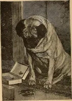 Picture 2 of 478 from The boy's own book of indoor games and recreations : a popular encyclopædia for boys (1890), leaf 7