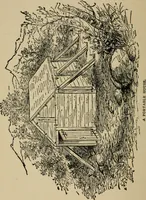 An illustration from A boy's workshop (1884)