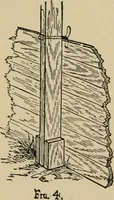 Picture 23 of 75 from A boy's workshop (1884), leaf 119