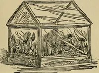 Picture 32 of 75 from A boy's workshop (1884), leaf 136
