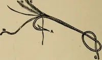 An illustration from A boy's workshop (1884)