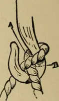 An illustration from A boy's workshop (1884)