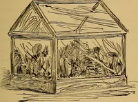 An illustration from A boy's workshop (1884)