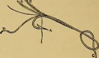 An illustration from A boy's workshop (1884)