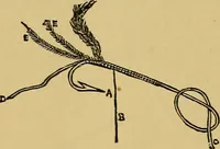 An illustration from A boy's workshop (1884)