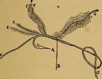An illustration from A boy's workshop (1884)