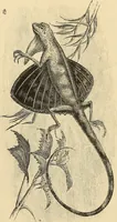 An illustration from The boy travellers in southern Europe : adventures of two youths in a journey through Italy, southern France, and Spain, with visits to Gibraltar and the islands of Sicily and Malta (1893)