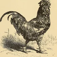 An illustration from The boy travellers in southern Europe : adventures of two youths in a journey through Italy, southern France, and Spain, with visits to Gibraltar and the islands of Sicily and Malta (1893)