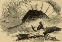 An illustration from The boy travellers in southern Europe : adventures of two youths in a journey through Italy, southern France, and Spain, with visits to Gibraltar and the islands of Sicily and Malta (1893)