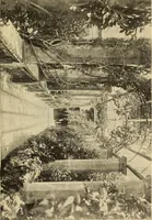 An illustration from The boy travellers in southern Europe : adventures of two youths in a journey through Italy, southern France, and Spain, with visits to Gibraltar and the islands of Sicily and Malta (1893)