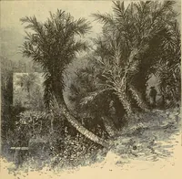 An illustration from The boy travellers in southern Europe : adventures of two youths in a journey through Italy, southern France, and Spain, with visits to Gibraltar and the islands of Sicily and Malta (1893)