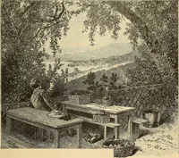 Picture 331 of 388 from The boy travellers in southern Europe : adventures of two youths in a journey through Italy, southern France, and Spain, with visits to Gibraltar and the islands of Sicily and Malta (1893), leaf 472