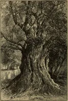 An illustration from The boy travellers in southern Europe : adventures of two youths in a journey through Italy, southern France, and Spain, with visits to Gibraltar and the islands of Sicily and Malta (1893)