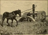 An illustration from The boy travellers in southern Europe : adventures of two youths in a journey through Italy, southern France, and Spain, with visits to Gibraltar and the islands of Sicily and Malta (1893)