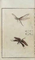 Picture 5 of 17 from Chūrui gafu / [chosha, Morimoto Tōkō] (1910), leaf 15