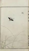 Picture 6 of 17 from Chūrui gafu / [chosha, Morimoto Tōkō] (1910), leaf 17