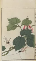 Picture 7 of 17 from Chūrui gafu / [chosha, Morimoto Tōkō] (1910), leaf 19