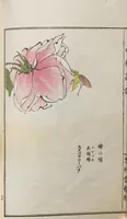Picture 10 of 17 from Chūrui gafu / [chosha, Morimoto Tōkō] (1910), leaf 25