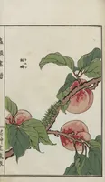 Picture 12 of 17 from Chūrui gafu / [chosha, Morimoto Tōkō] (1910), leaf 30