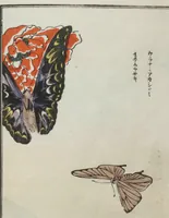 An illustration from Chūrui gafu / [chosha, Morimoto Tōkō] (1910)