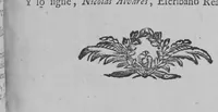 An illustration from Natuerlyke historie van de couchenille, beweezen met authentique documenten = Histoire naturelle de la cochenille, justifiée par des documens authentiques (1729)