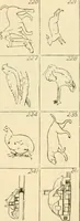 Picture 9 of 41 from Bradley's kindergarten material and school aids. (1896), leaf 24