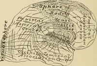 Picture 8 of 52 from Brain in relation to mind (1899), leaf 39