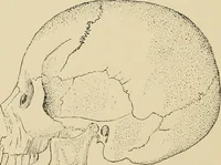 An illustration from Brain in relation to mind (1899)